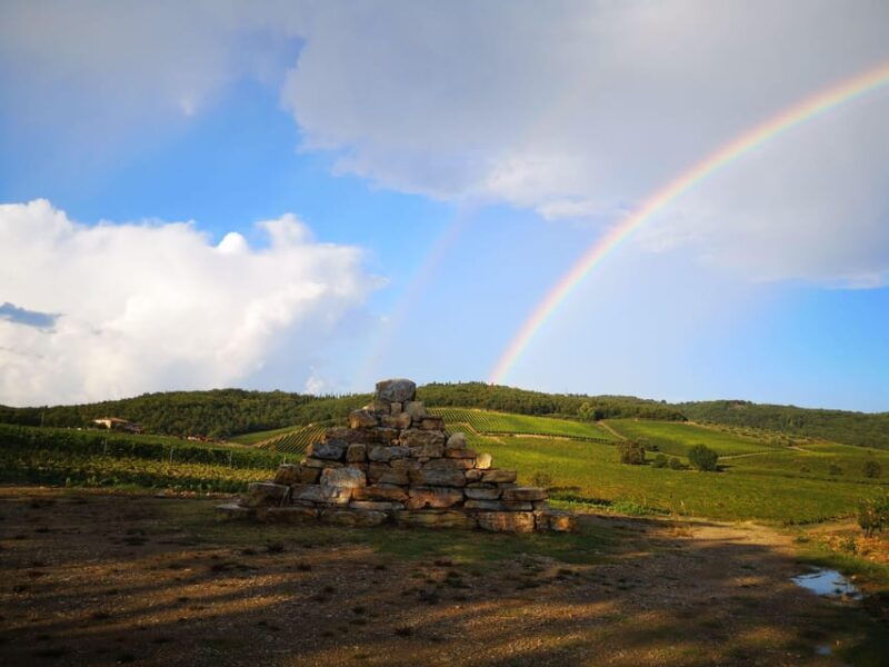 gran-cru-wines-tasting-mocenni-estate