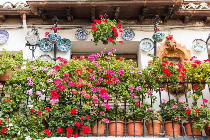 granada-2hour-tour-of-the-albaicin-sacromonte-premium