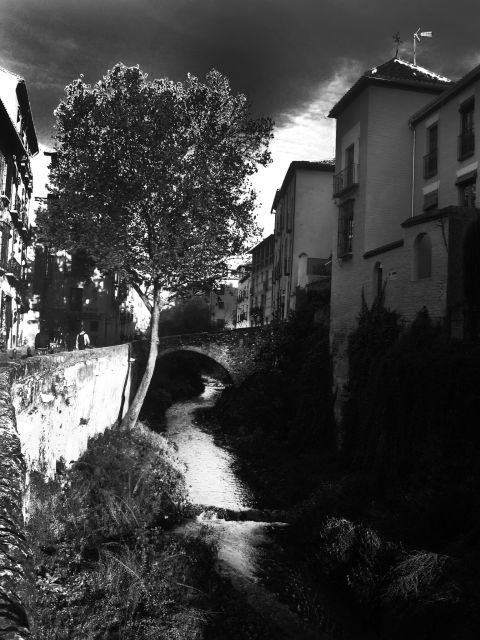 granada-albaicin-2-5-hour-tapas-drinks-walking-tour
