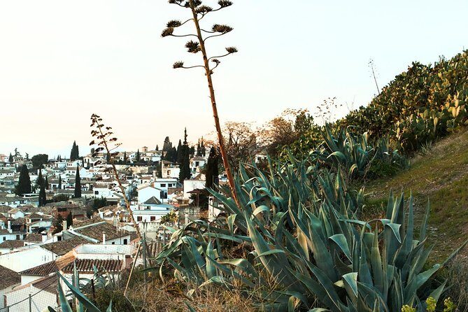 Granada: Albaicin and Sacromonte Private Tour - Practical Details and Tips
