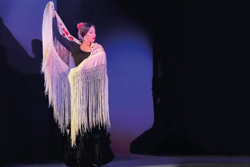 granada-albaicin-sacromonte-walking-tour-flamenco-show