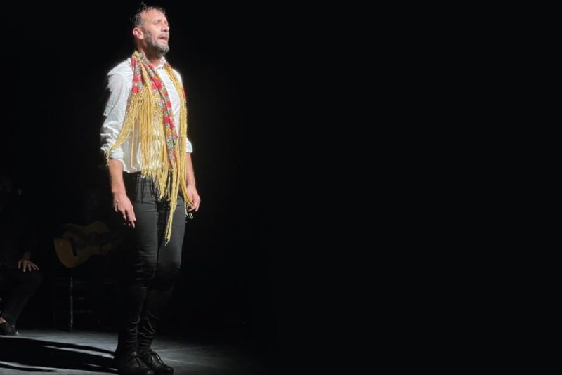 granada-albaicin-sacromonte-walking-tour-flamenco-show