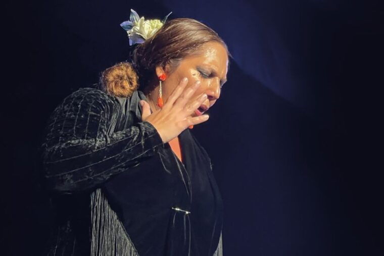 granada-albaicin-sacromonte-walking-tour-flamenco-show