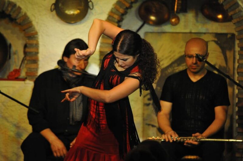 granada-alhambra-guided-tour-and-flamenco-show