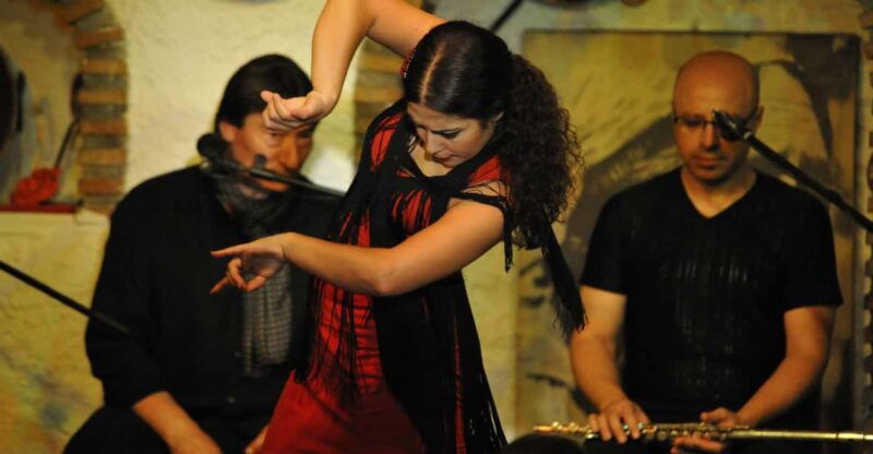 granada-alhambra-guided-tour-and-flamenco-show