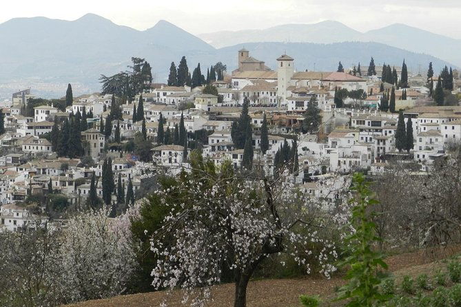 granada-day-trip-alhambra-nazaries-palaces-from-seville