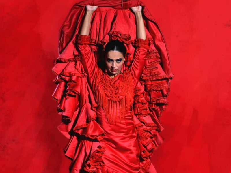 Granada: Flamenco Dance Class for Beginners at the Flamenco Theater - What to Expect from the Flamenco Dance Class