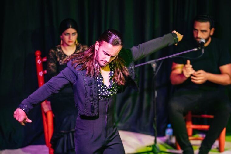 granada-flamenco-show-in-la-alborea