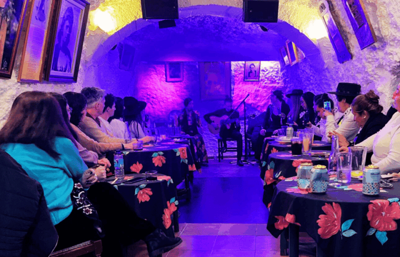 granada-flamenco-show-in-the-cave-la-faraona