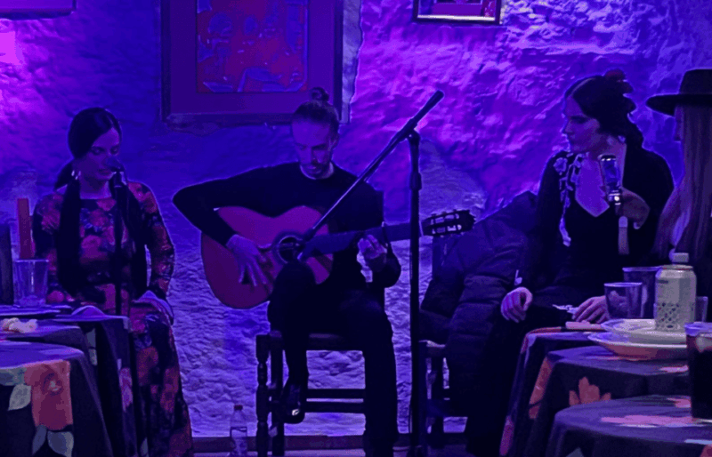 granada-flamenco-show-in-the-cave-la-faraona