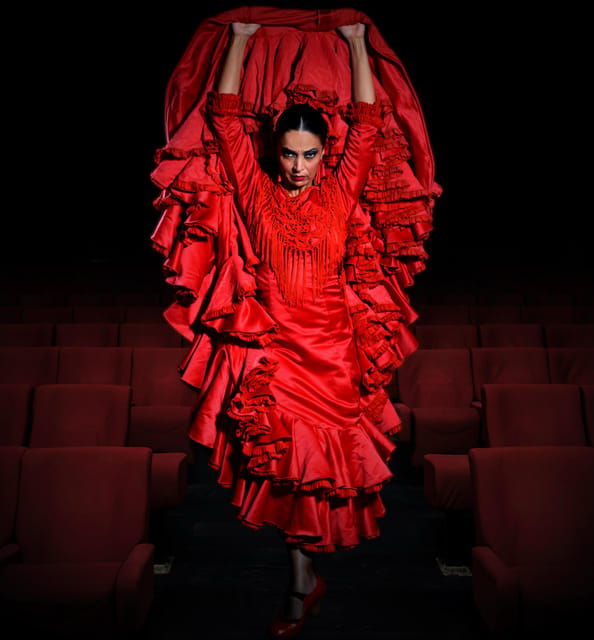 granada-flamenco-show-sensations-at-the-flamenco-theater-granada