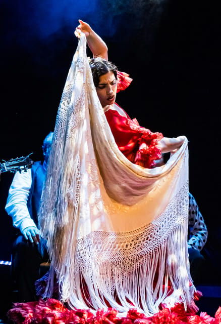 granada-flamenco-show-sensations-at-the-flamenco-theater-granada