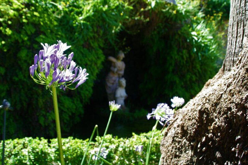 granada-gardens-of-carmenes-guided-tour