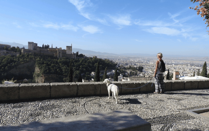 granada-guided-albaicin-visit-with-pets