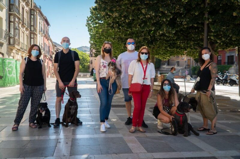 granada-guided-albaicin-visit-with-pets
