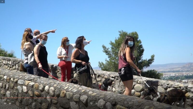 granada-guided-albaicin-visit-with-pets