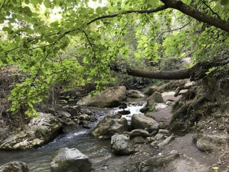 granada-guided-day-hike-in-los-cahorros-de-monachil