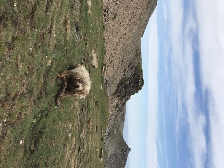 granada-high-sierra-nevada-hiking-tour-to-3000-meters-2