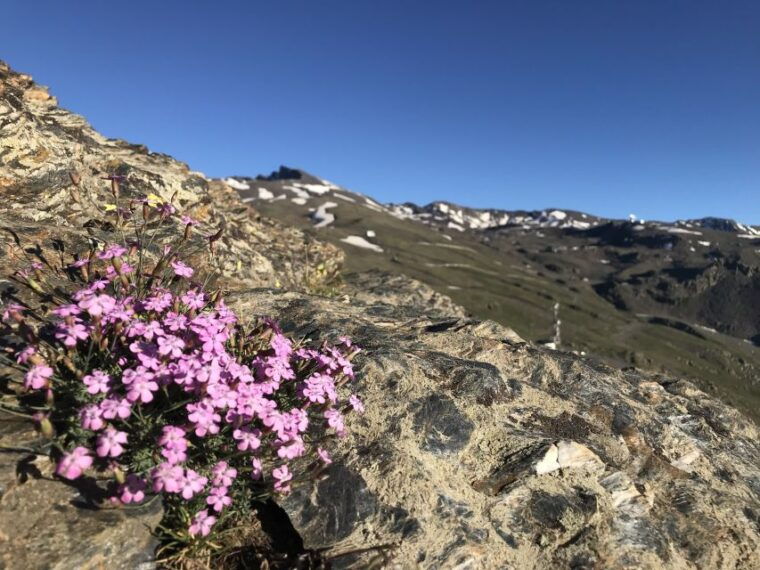 granada-high-sierra-nevada-hiking-tour-to-3000-meters-2