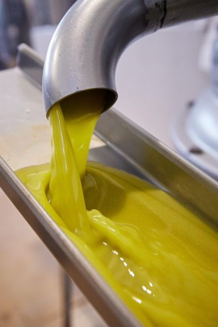 granada-in-evoo-guided-tour-and-unique-sensorial-tasting