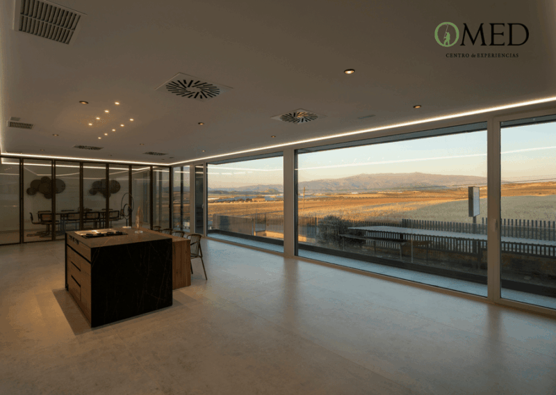 granada-in-evoo-olive-grove-guided-tour-and-sensory-tasting