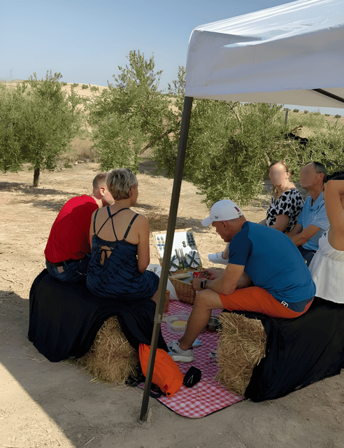 granada-in-evoo-picnic-among-olive-trees-and-unique-views