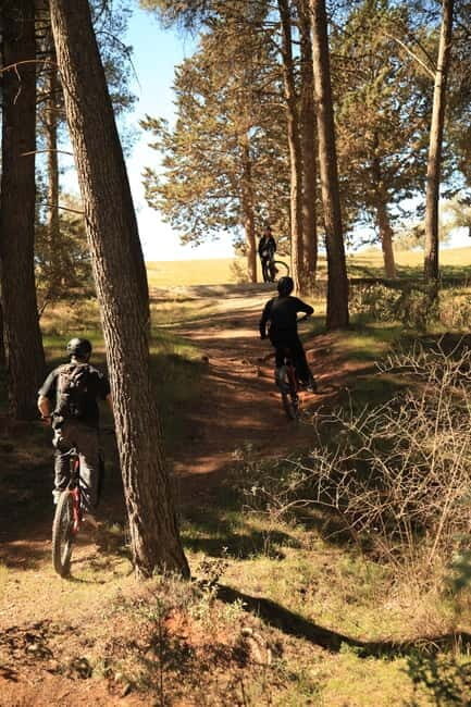Granada: Nature, Wildlife and Authentic Villages E-bike Tour - An Overview of the Experience  