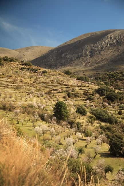 Granada: Nature, Wildlife and Authentic Villages E-bike Tour - FAQ  