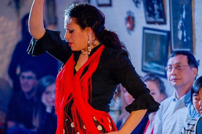 granada-sacromonte-caves-flamenco-show-with-dinner