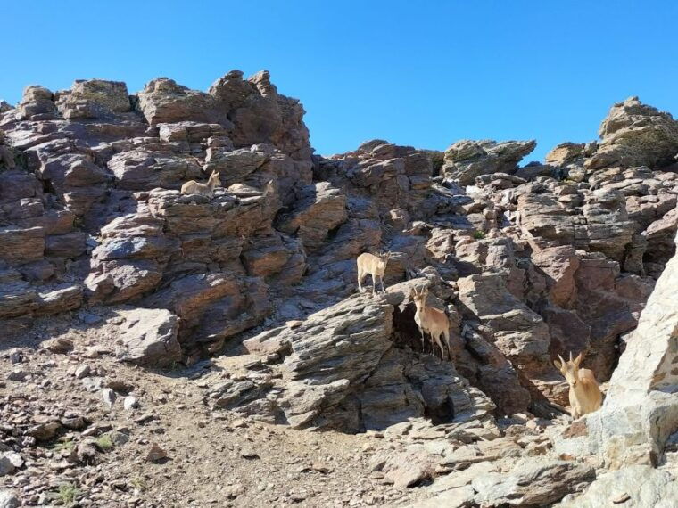 granada-sierra-nevada-guided-day-trip