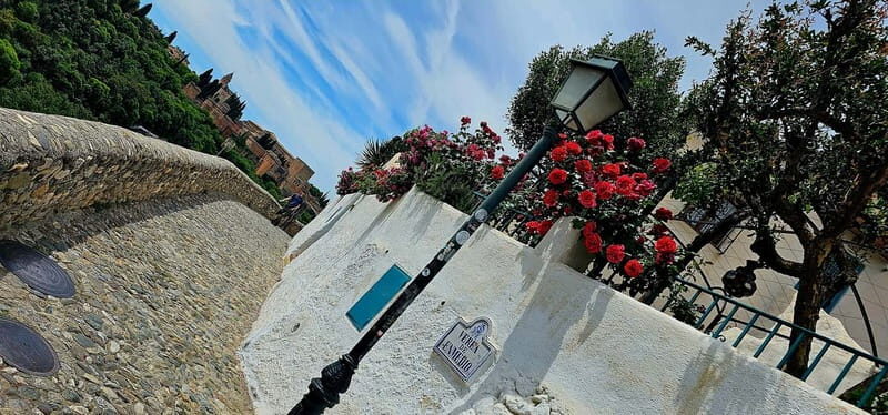 Granada: "Street Art & The Caves" Unique Guided Walking Tour - An In-Depth Look at the Tour Experience