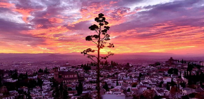 Granada: "Street Art & The Caves" Unique Guided Walking Tour - Final Thoughts: Who Should Join?