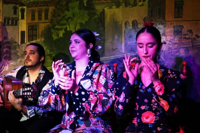 Granada: Traditional Flamenco show at Tablao Albayzín - What to Expect from the Flamenco Experience