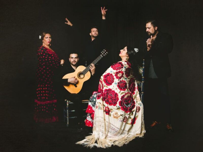 granada-traditional-flamenco-show-at-tablao-casa-ana