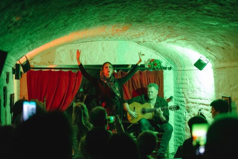 Granada: Traditional Flamenco Show in a Cave Entry Ticket - Introduction