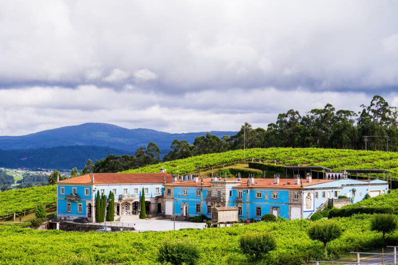 granbazan-winery-guided-tour-and-wine-tasting