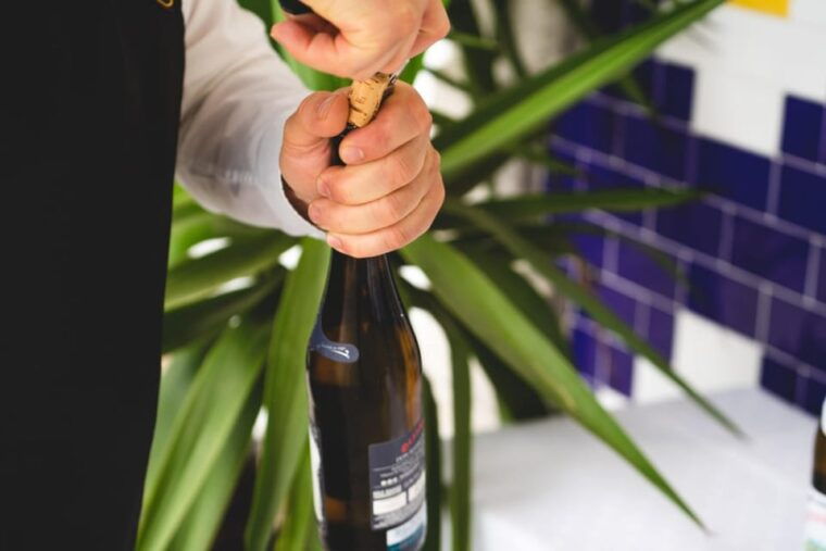 granbazan-winery-guided-tour-and-wine-tasting