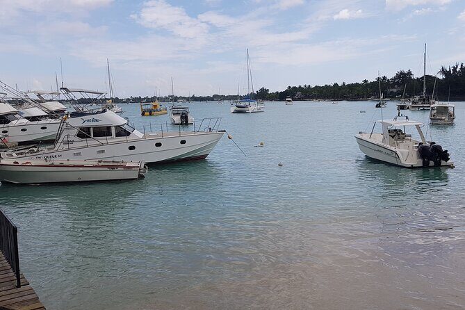 Grand Bay Food Tour - Frequently Asked Questions