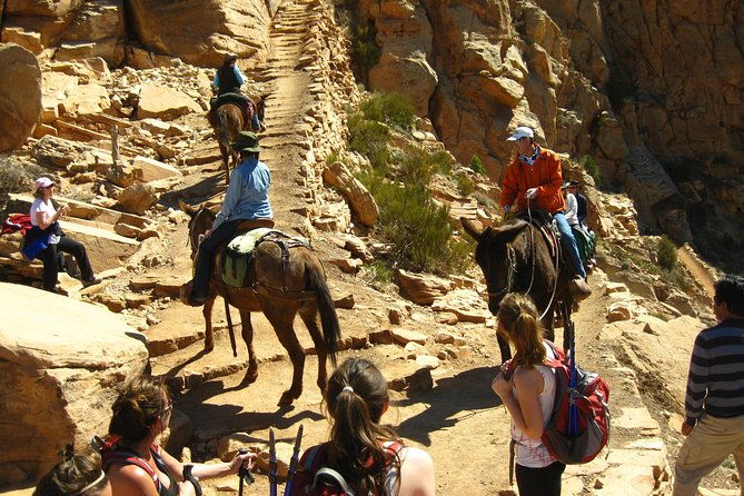 grand-canyon-hike-from-sedona-or-flagstaff-with-7-guest-limit-2