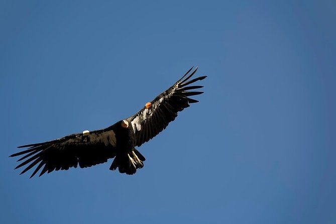 grand-canyon-hiking-day-trip-from-sedona-or-flagstaff