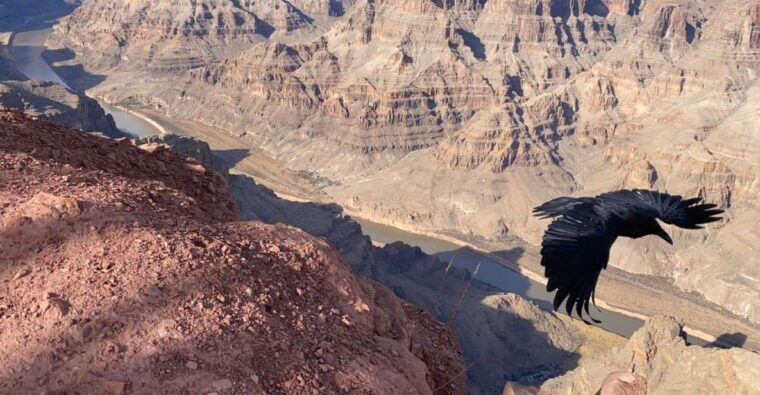 grand-canyon-hoover-dam-private-tour-from-las-vegas