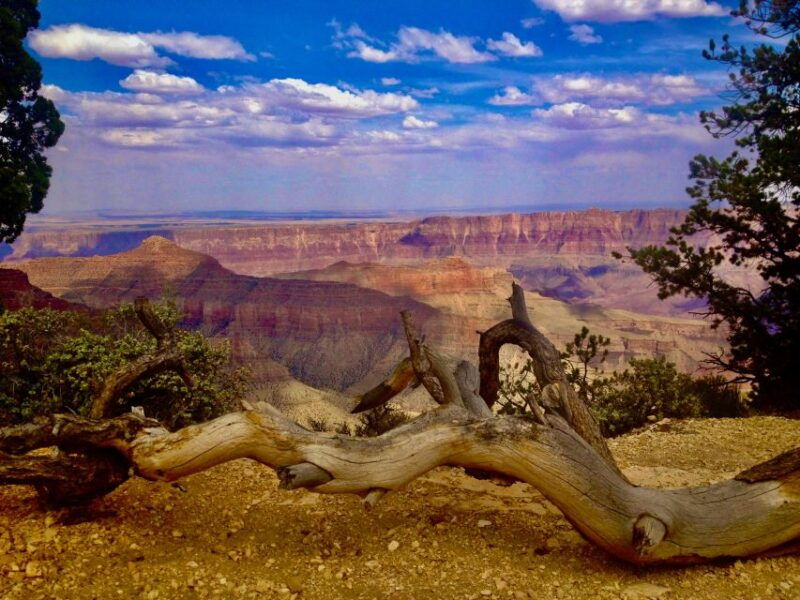 grand-canyon-north-rim-private-group-tour-from-las-vegas