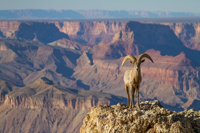 grand-canyon-south-east-rim-self-driving-walking-shuttling-tour-2