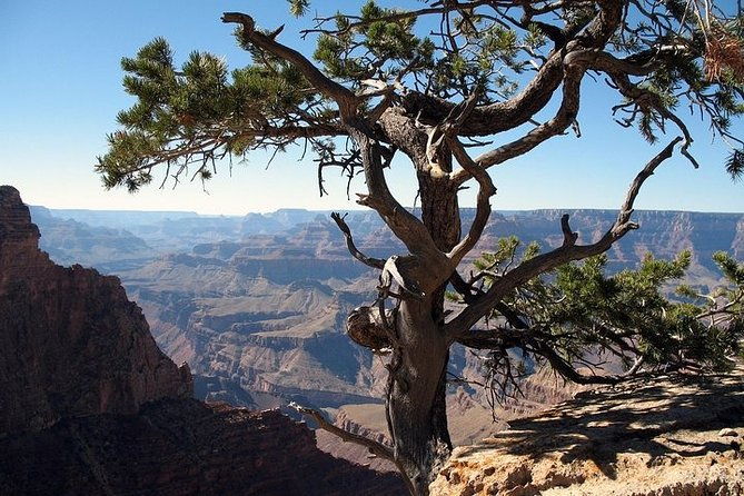 grand-canyon-south-rim-day-trip-from-flagstaff