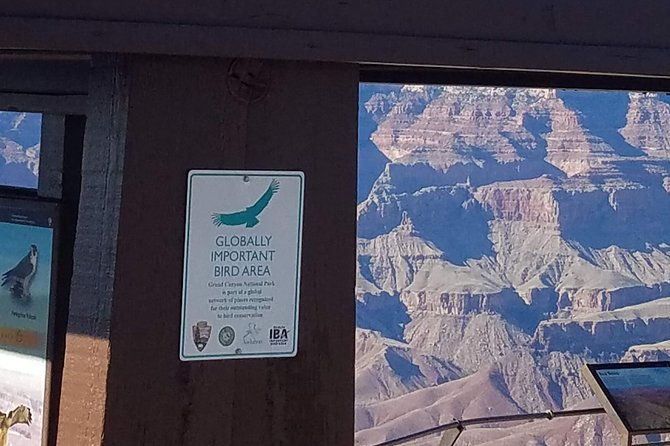 grand-canyon-tour-from-williams