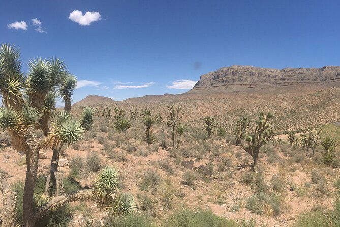 grand-canyon-west-rim-cabin-and-helicopter-tour-from-las-vegas-2