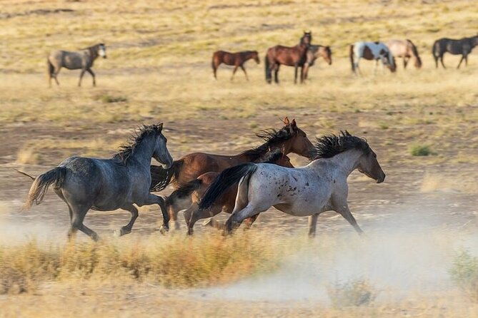 grand-canyon-west-sky-walk-eagle-point-private-tour