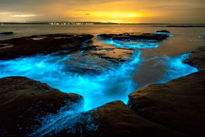 grand-cayman-bioluminescence-adventure
