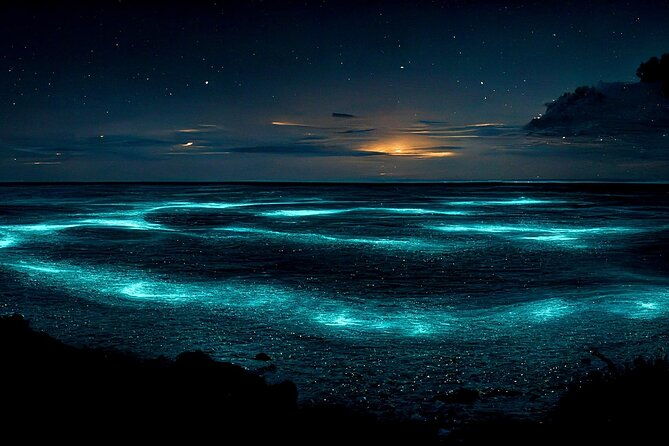 grand-cayman-bioluminescence-adventure