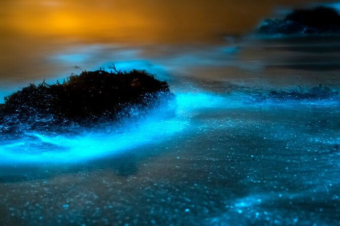 grand-cayman-bioluminescence-adventure